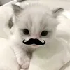 _annie_cuti0