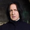 sevvysnapeysnape