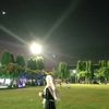 ya_ty0228