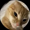 mlem_xing