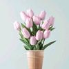 sumaiya.khatun1287