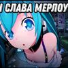 misha.sheketa3