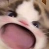 didnfjd5