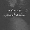 tor_pakhtoon
