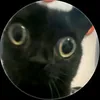 cookie_cdk