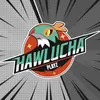 hawlucha.playz