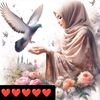 m.ibrahim.hammad