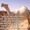 المرواني المزيني الحربي