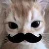 czqwvk