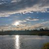 alp_5591