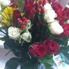 florica.tudose6