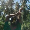 lalang0690