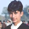 pk.aseel1