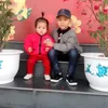 phmtdat211