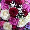 naseer44791