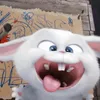 simpbantrai