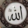 abdulqadir.abdulq22