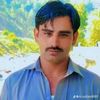 user253194606