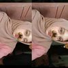 isaputri_320