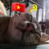 ledinhmanh26