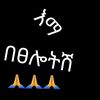 birehanu29