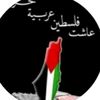 zeina8552