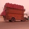 jafar.ali0247