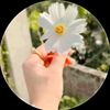 sorif.hawlader3