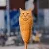 bblrayan125