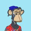 apebro1