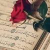 salima.hannachi7