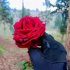 radatarabe