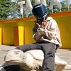 aril_mv24