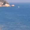 marrehvn9zy