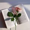 ali.falah432