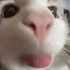 branyu88