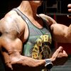 metissmuscl974