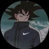 lucas_13013