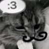 weirdcatt