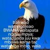 priva889