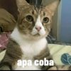 footbal_59