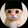 user58718108561526