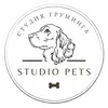 Studio_pets