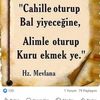 ceyda.ales