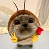 hngaa_67