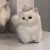 ᴀ✮