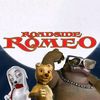 road.side.romeo0