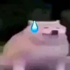 dinhlongvuz