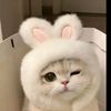 narong.tongho