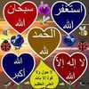 hafiz.lbarhim